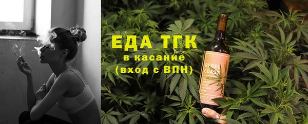 индика Тайга