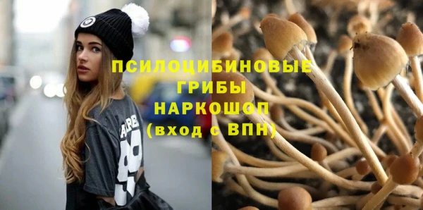 стаф Верхний Тагил