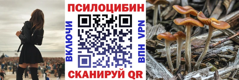 ОМГ ОМГ зеркало  Любань  Галлюциногенные грибы Cubensis 